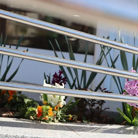 Smestaj Zvezdano Nebo Apartament